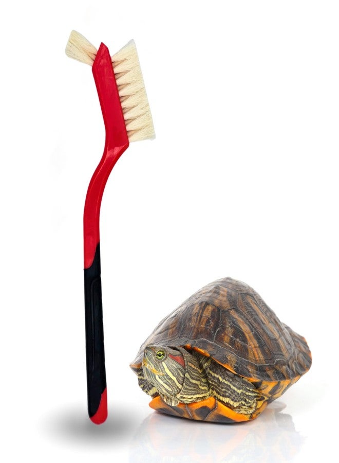 Snout and Shell Turtle Cleaning Brush - Gently Remove Dirt from Turtles and Tortoises - Red by Snout and Shell - Image 1